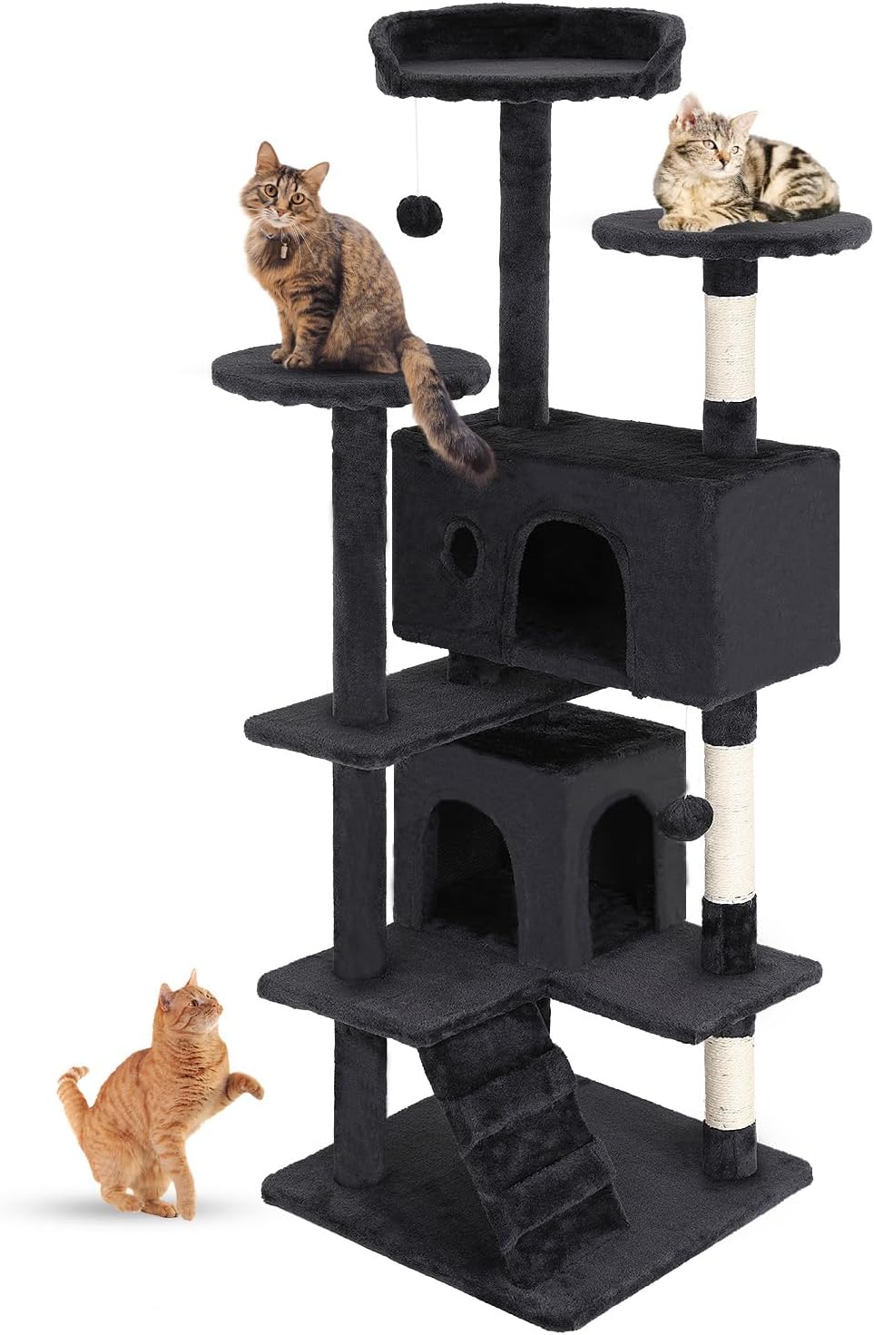 cathouse
