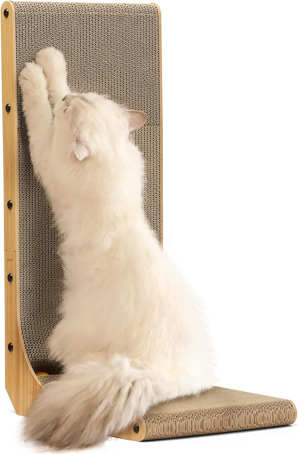 Fun Toys for All Pets